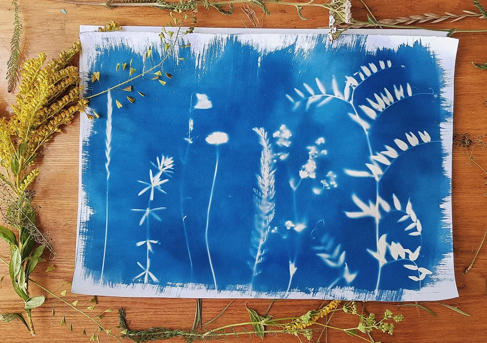 Cianotipijos atvirukų dirbtuvės